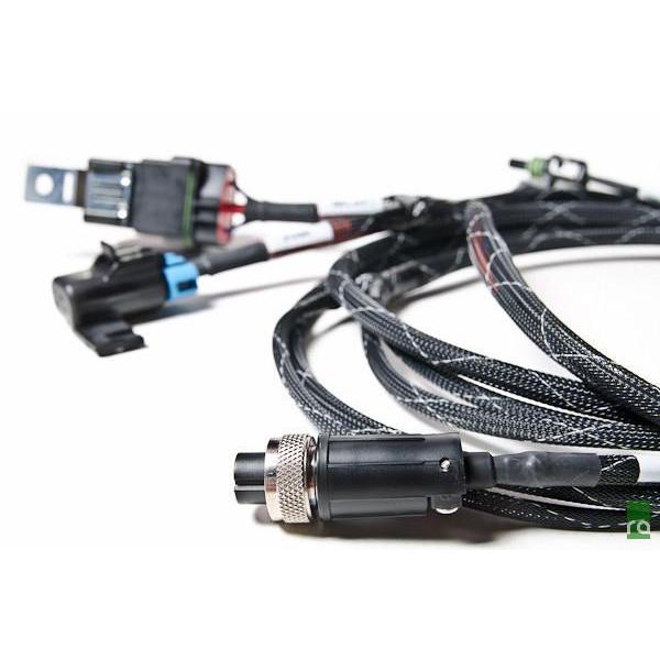 Radium Engineering, Radium Engineering Fuel Surge Tank Wiring Harness - Fully Populated - Universal